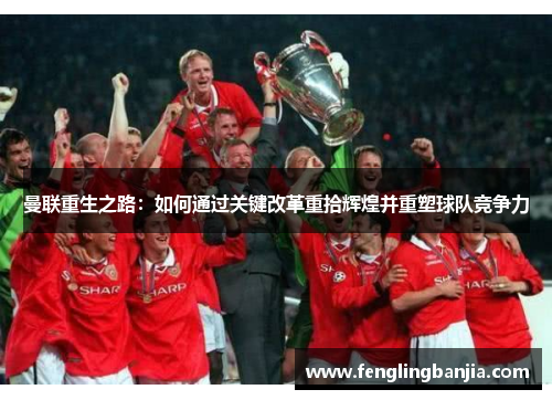 曼联重生之路:如何通过关键改革重拾辉煌并重塑球队竞争力 曼联重生之路:如何通过关键改革重拾辉煌并重塑球队竞争力