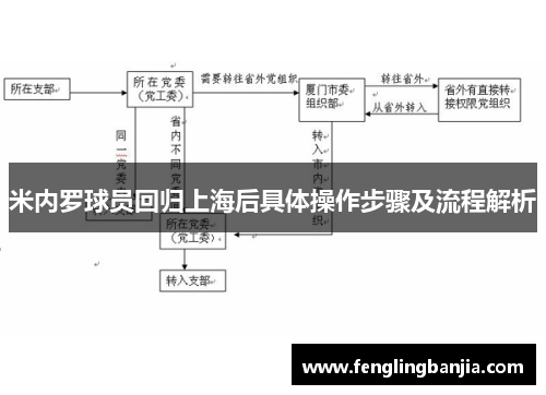 米内罗球员回归上海后具体操作步骤及流程解析 米内罗球员回归上海后具体操作步骤及流程解析